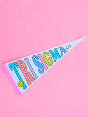 Sorority Party Pennant Flag